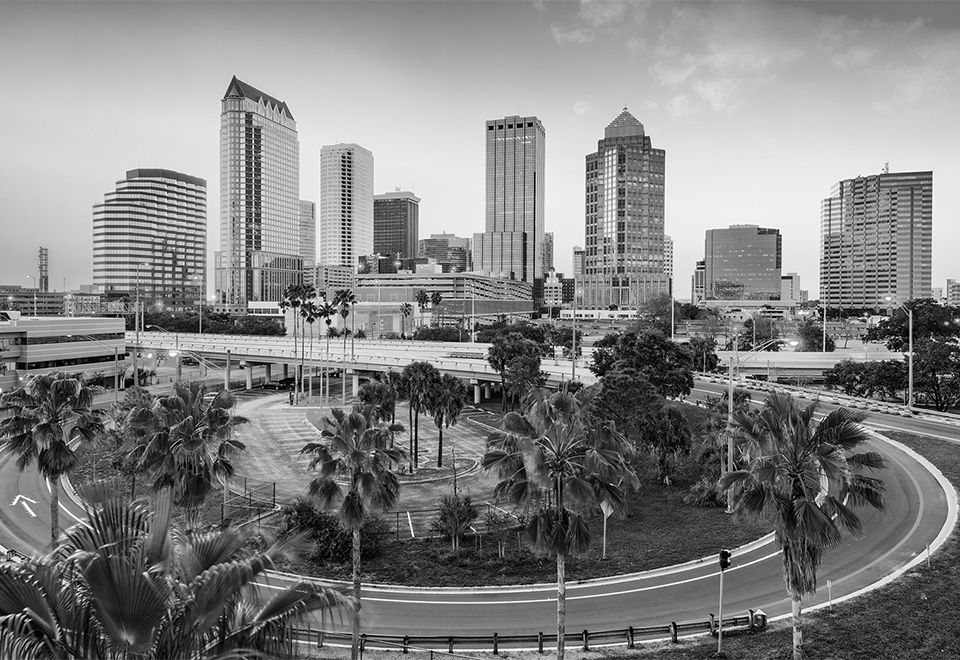 Tampa Florida Skyline